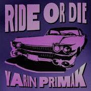 Yarin Primak Speed Up