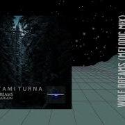 Bestami Turna Wolf Dreams Melodic Mix