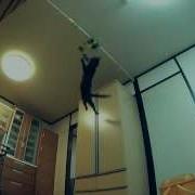 Кот Прыгает Высоко