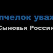 Сыновья России Минусовка