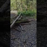 Сухой Сентябрь
