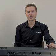 Бесплатные Пакеты Расширений Для Psr S770 Psr S670 Psr S970