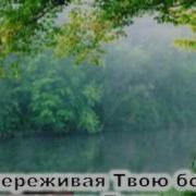 Когда Устанут Мои Руки