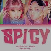 Blackpink Ai Cover Aespa Spicy