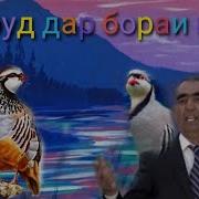 Амрдин Кабири