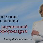 Валерий Синельников Тайны Подсознания