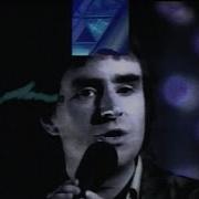 Стинг Леди Ин Ред