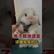 咬兔子