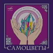 Выпускаю Синицу