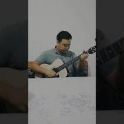 Ақ Гүлдер Көп Гүлдер