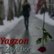 Gr Yagzon Mayli Bor Oshalarga