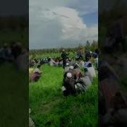 Эшони Зикурло Кисаи Фотима