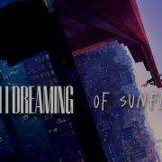 Am I Dreaming Of Sunflowers Spider Verse Soundtrack Mashup