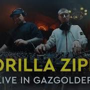 Gorilla Zippo Live In Gazgolder