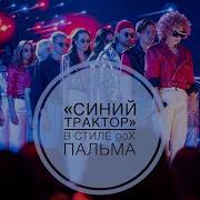Пальма Синий Трактор