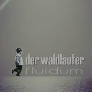 Der Waldläufer Fluidum 2017