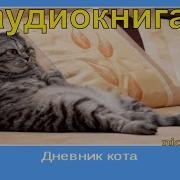 Дневник Кота