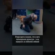 Трогательная Музыка Встречи С Щенком