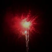 Tb 78 Happy New Year Tropic Pl