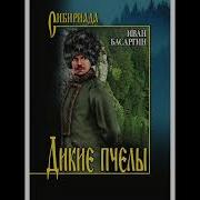 Дикие Пчелы Басаргин