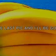 Uicideboy And To Those I Love Thanks For Sticking Around Lyrics I Ll Be Dead By Dawn