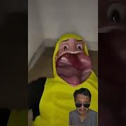 Ganguin Adek Main Game