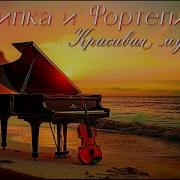 Сборник Скрипка