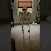 Meme Skeleton