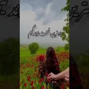 Хохарам Мисли Модарам