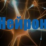 Нейрон От 1 До 20