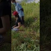 Siskaee Prank Tukang Kebun