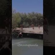 Яланг Ойок Ёшлигим