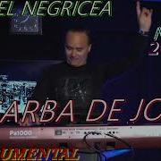 Daniel Negricea Sârbe Noi