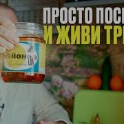 Жить Трезво