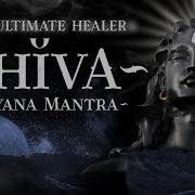 Shivas