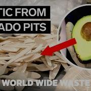 Avocados