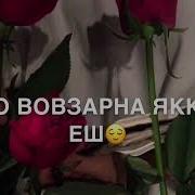 Хеда 1Уьйре Суьйре Хаз Йина
