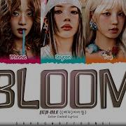 Gidle Bloom Bloom