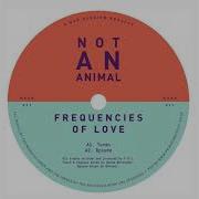 Frequencies Of Love Pegasus