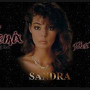 Sandra The Best Tribute Mix Dj D Z 2023