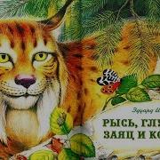 Рысь Глухарь