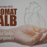 Salomat Qalb