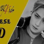Skz Cheese 8 D