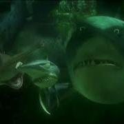 Finding Nemo I Never Knew My Father