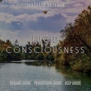 Phosphenes Original Mix Meadow Dawn