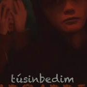 Tusinbedim Sadraddin