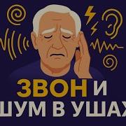 Шум В Ушах Мешает Жить Вот Что Поможет