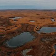 Визг Плескающихся В Воде Детей