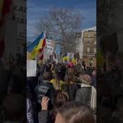 Гимн Украины Свиньи