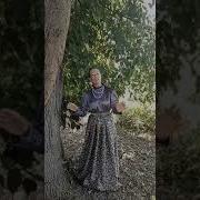 Ах Ты Яблонька